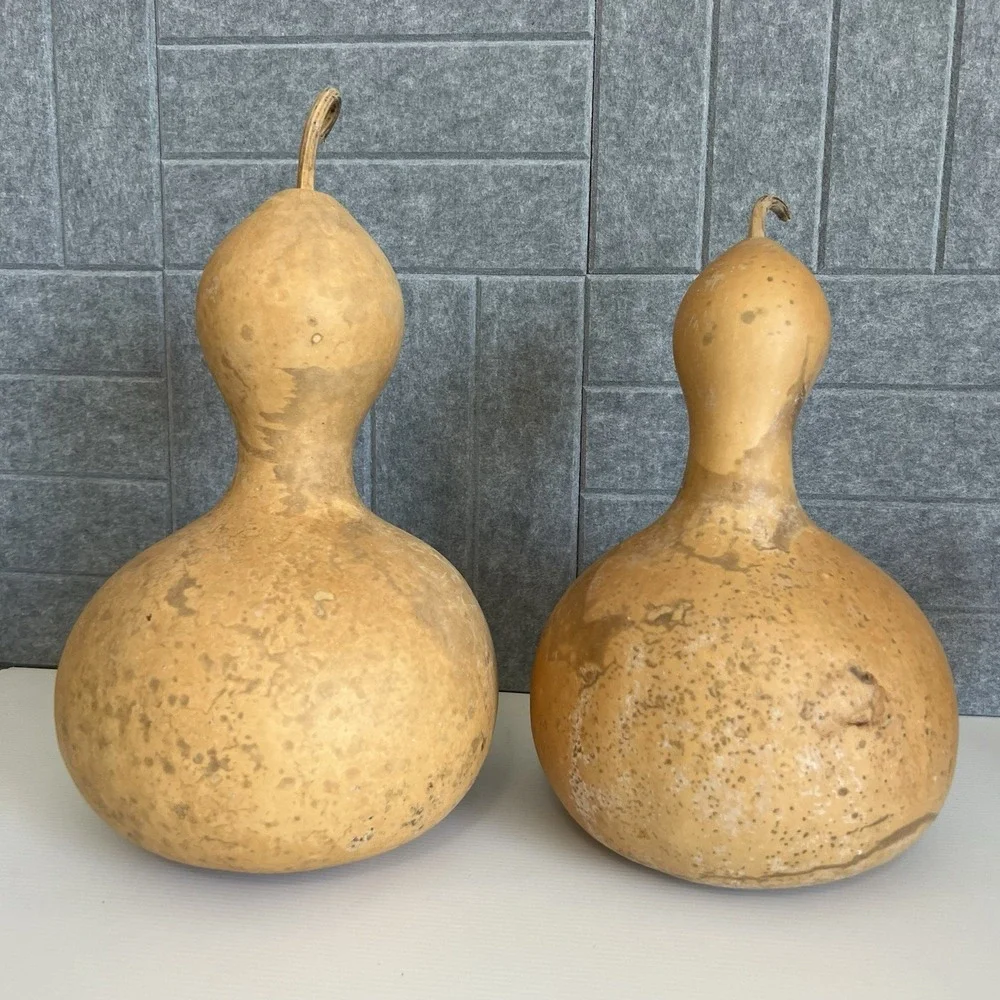 2 Natural Bottle Snowman Gourds Dried Cleaned Fall Decor Crafting